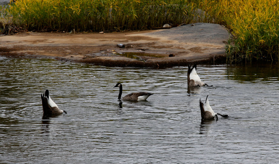James River Park System